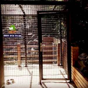 panel çit köpek
