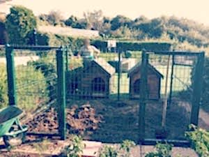 Büyük Bahçeler İçin Tel Köpek Kulübeleri