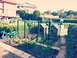 Tel Çit Köpek Kulübesi